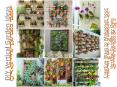 Creative Ways to Build Your Vertical Garden by Own PowerPoint PPT Presentation