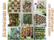 Creative Ways to Build Your Vertical Garden by Own