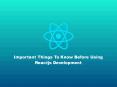 Important Things To Know Before Using Reactjs Development PowerPoint PPT Presentation