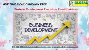 Business Development Executives Email Database