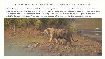 presentation player overlay