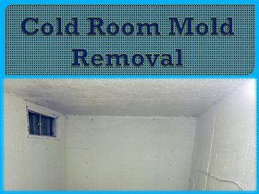 Cold Room Mold Removal