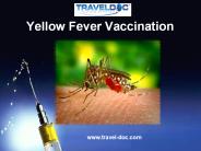 Yellow Fever Vaccination