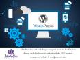 Hire The Best Wordpress Developer To Build Your Business Website PowerPoint PPT Presentation
