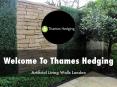 Information Presentation Of Thames Hedging Ltd PowerPoint PPT Presentation