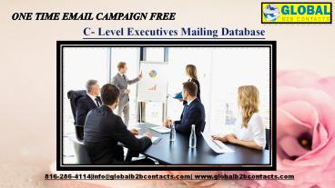 C- Level Executives Mailing Database