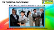 Latin America Business Executives Email List