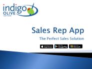 Sales Rep App - The Perfect Sales Solution (1)