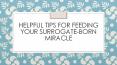 Helpful Tips for Feeding Your Surrogate-Born Miracle PowerPoint PPT Presentation