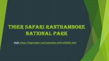 Tiger safari Ranthambore national park