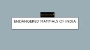 Endangered mammals of india