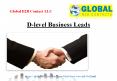 D level Business Leads PowerPoint PPT Presentation