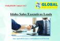 Idaho Sales Executives Leads PowerPoint PPT Presentation