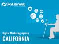 Skylite Web- Digital Marketing Agency California uses best approach to run your marketing campaign! PowerPoint PPT Presentation