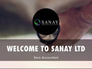 Detail Presentation About SANAY LTD