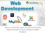 Benefits Of Choosing The Right Web Development Company