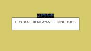 Central himalayan birding tour