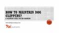 How to maintain Dog Clippers? A Beginners Guide for Pro Groomers PowerPoint PPT Presentation