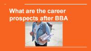 What are the career prospectus after BBA?