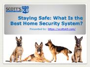 Staying Safe: What Is the Best Home Security System?