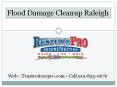 Expert Flood Damage Cleanup Raleigh NC PowerPoint PPT Presentation