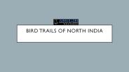 Bird Trails Of North India