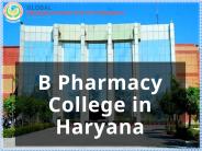 B Pharmacy College in Haryana