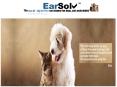 Dog Ear Treatment PowerPoint PPT Presentation