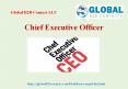 Chief Executive Officer PowerPoint PPT Presentation