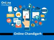 SEO in Chandigarh