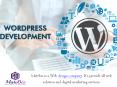 Boosting Your Business With A Wordpress Developer PowerPoint PPT Presentation