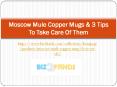 Moscow Mule Copper Mugs & 3 Tips To Take Care Of Them (1)