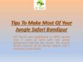 Bandipur Jungle Safari Lodges PowerPoint PPT Presentation
