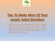 Bandipur Jungle Safari Lodges