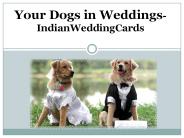 How to Include Your Dogs in Weddings – IndianWeddingCards
