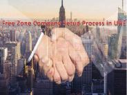 Free Zone Company Setup Process in UAE