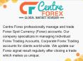 Best Forex Signal service PowerPoint PPT Presentation