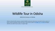wildlife tour in odisha