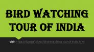 Bird Watching Tour of India