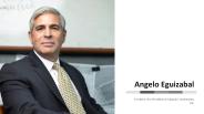 Angelo Eguizabal - Experienced Professional From Hanover, Maryland