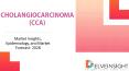 Cholangiocarcinoma Market PowerPoint PPT Presentation