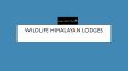 Wildlife himalayan lodges PowerPoint PPT Presentation