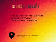 Luxflowerbox  Shop