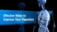 Effective Ways to Improve Your Digestion PowerPoint PPT Presentation
