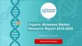 Organic Molasses Market Research Report 2019 2025 PowerPoint PPT Presentation