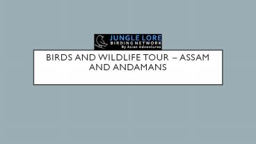 Birds And Wildlife Tour – Assam and Andamans
