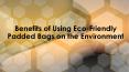 Why You Should Use Eco-Friendly Padded Bags PowerPoint PPT Presentation