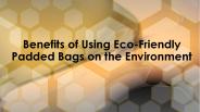 Why You Should Use Eco-Friendly Padded Bags