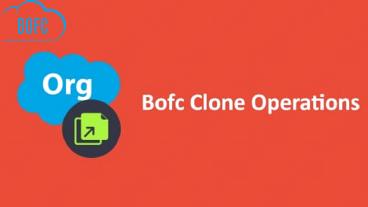 Bulk Object Field Creator Clone Operations