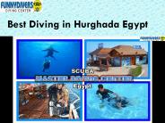 Padi Diving center Services  in Hurghada